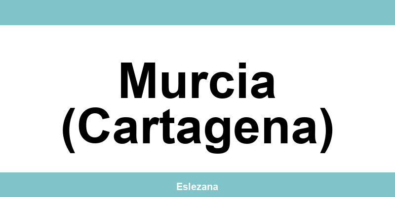 Contacta con la oficina de Zeleris en Murcia (Cartagena) y consulta su teléfono