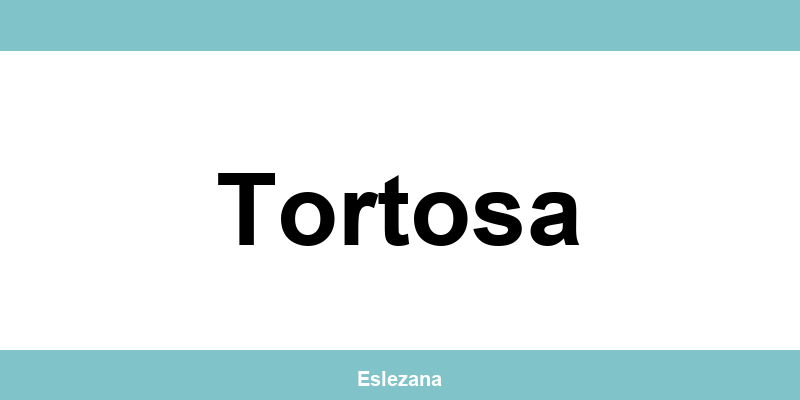 Contacta con la oficina de Zeleris en Tortosa y consulta su teléfono